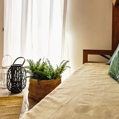 Apartment Grazia's Aeolian View House